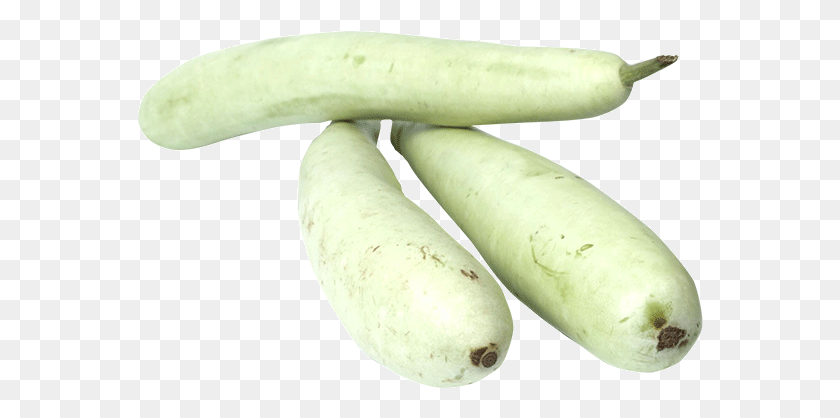 566x358 Gourd, Plant, Food, Radish HD PNG Download