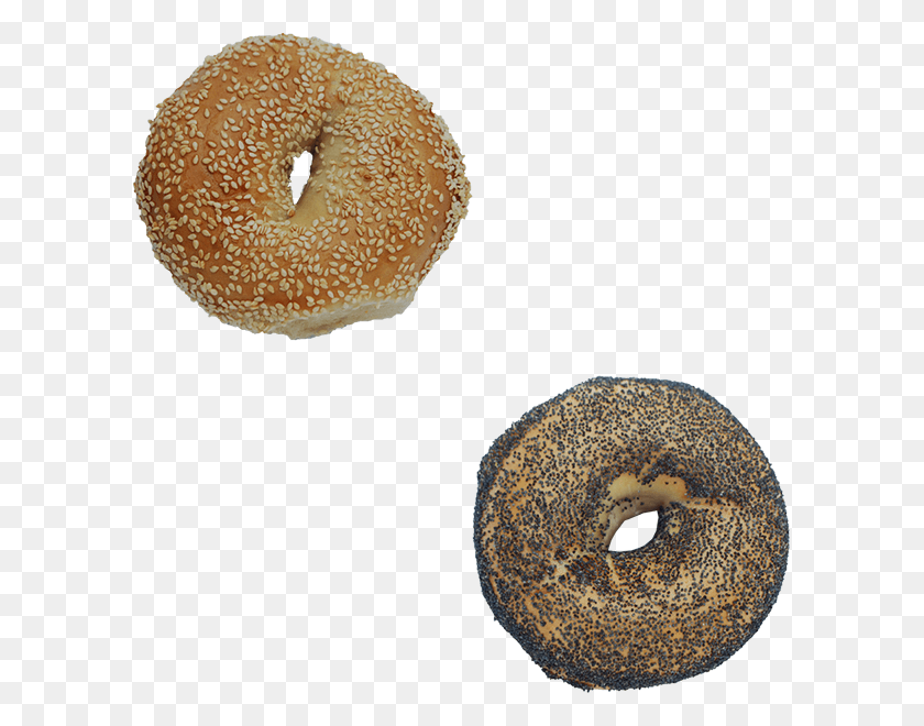 597x600 Gourmet Bagels Baked From Scratch In Each Shop Doughnut, Bread, Food, Bagel HD PNG Download