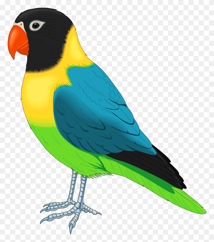 2628x2997 Agarrar Y Aves Png / Aves Png