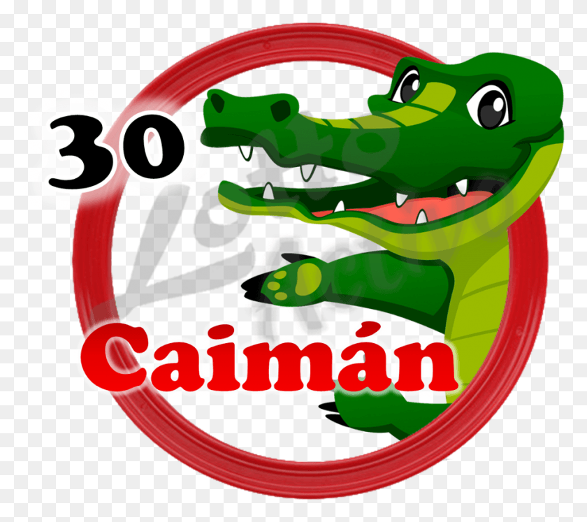 921x812 Gracias Dios Por Tus Bendiciones Felicitaciones A Caiman Lotto Activo, Amphibian, Wildlife, Animal HD PNG Download
