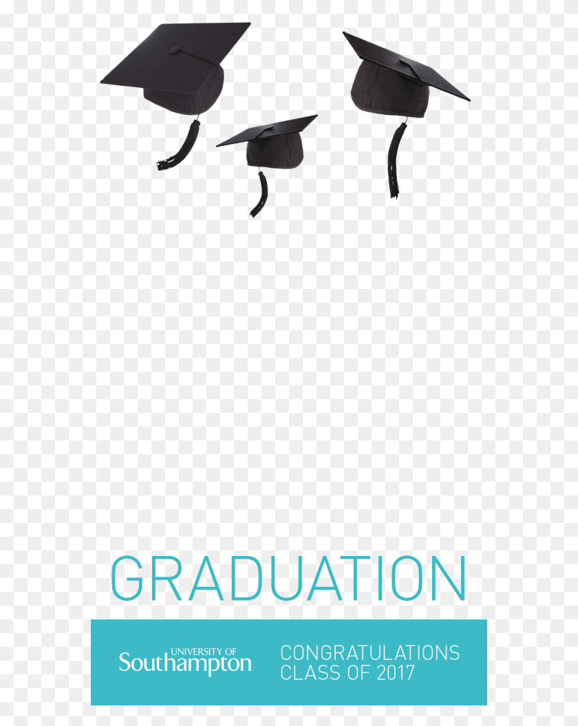 577x995 Graduation Snap Filter, Text, Weapon, Weaponry Descargar Hd Png