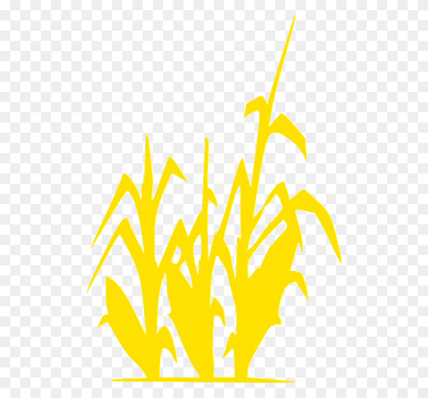 501x720 Grain Field Corn Gold Silhouette Summer Autumn Graphic Of Corn Field, Text, Brass Section, Musical Instrument HD PNG Download
