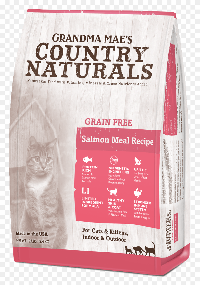 766x1135 Grain Free Salmon Meal Recipe For Cats Amp Kittens Kitten, Poster, Advertisement, Flyer HD PNG Download