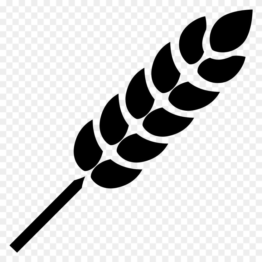 1567x1567 Значок Зерна Значок Пшеницы Черный, Серый, Мир Варкрафта Png Скачать