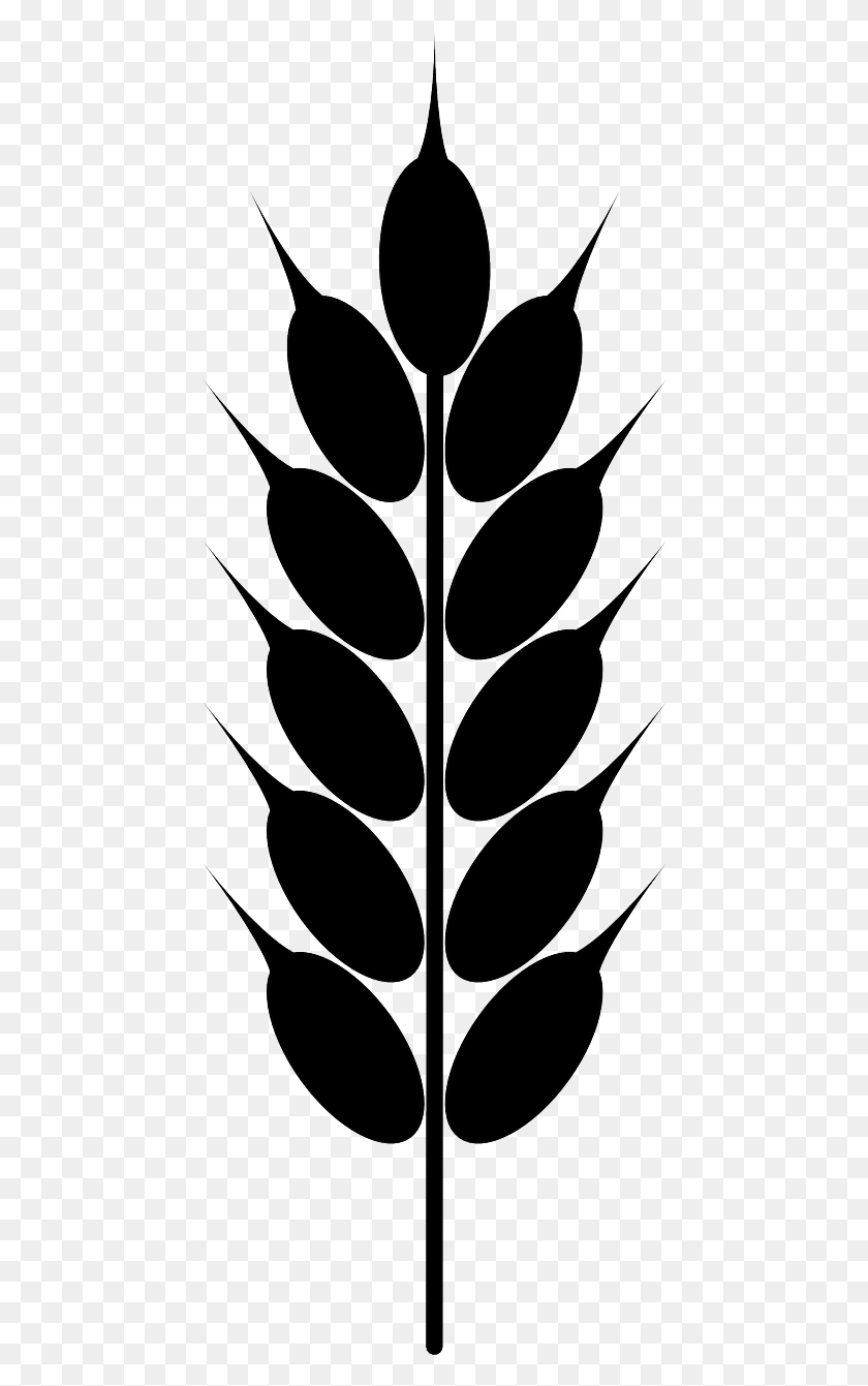 452x1281 Grains Black And White Panda Free Images Wheat Grain Clipart, Pattern, Spider Web, Ornament HD PNG Download