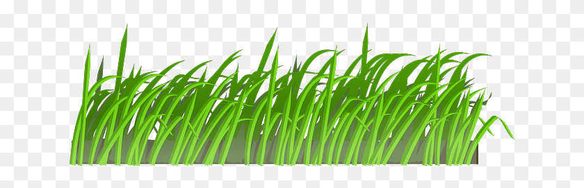 641x211 Grama Articulada Como Termo Feminino Refere Se S Wind Blowing Grass Clipart, Plant, Lawn, Green HD PNG Download