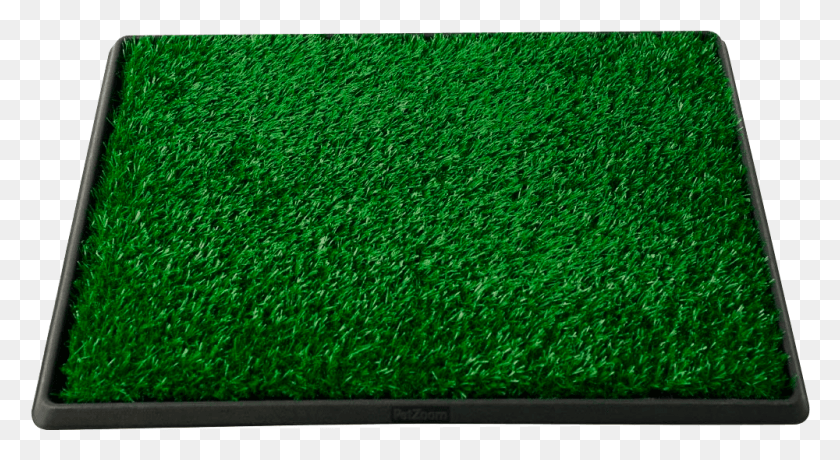 1000x514 Grama Sintetica Grama Sintetica, Grass, Plant, Screen HD PNG Download