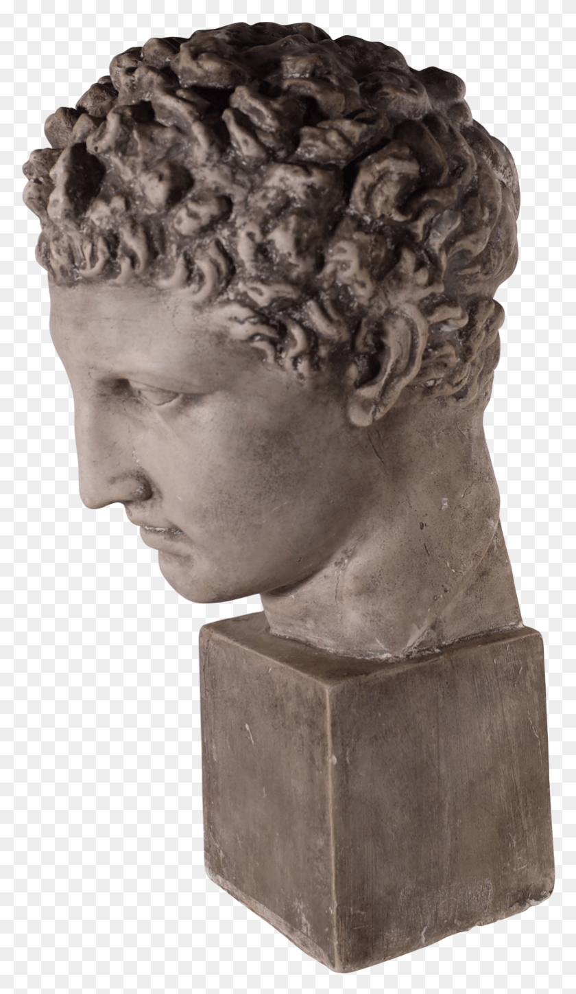 781x1390 Grand Tour Museum Souvenir Plaster Bust Of David Bust, Head, Sculpture HD PNG Download