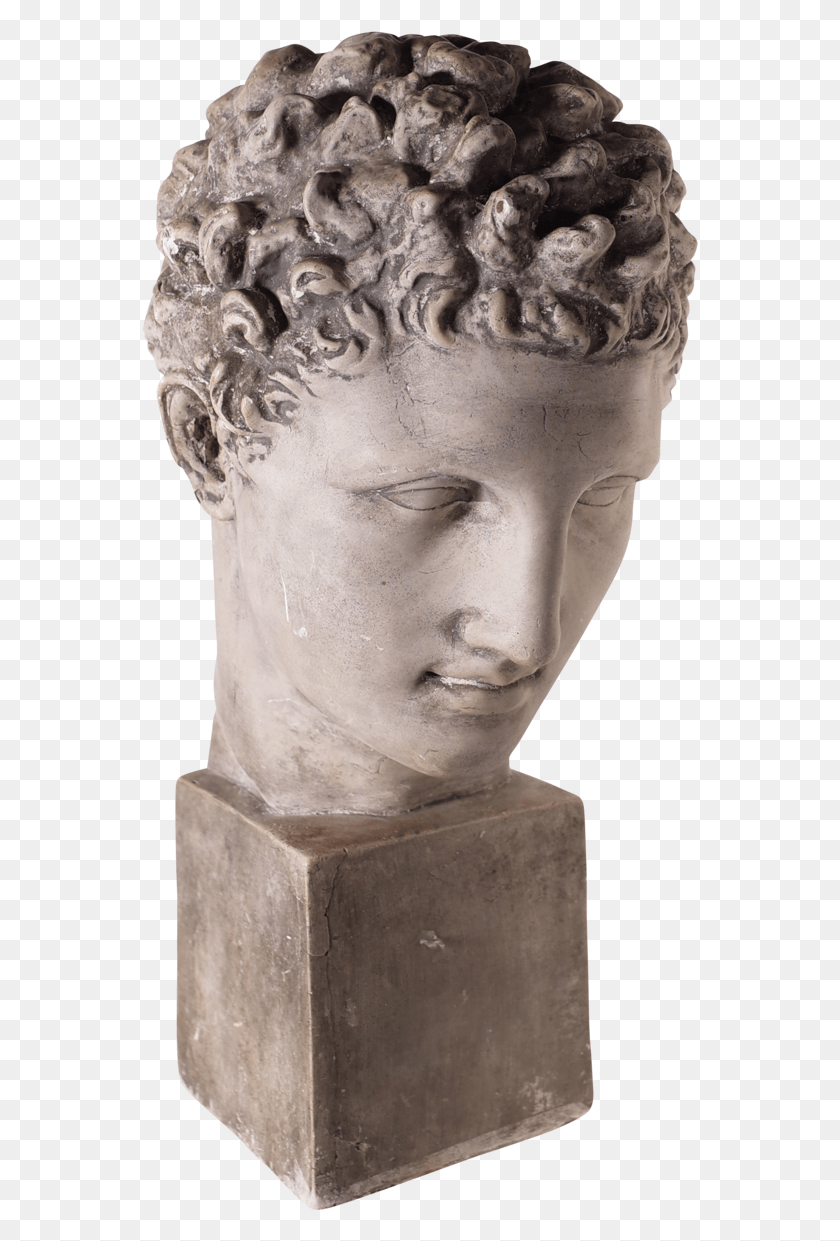 557x1181 Grand Tour Museum Souvenir Plaster Bust Of David Statue, Head, Sculpture HD PNG Download