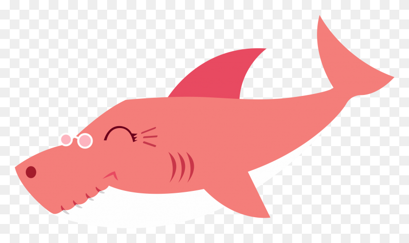 1991x1123 Grandma Shark, Animal, Fish, Sea Life HD PNG Download