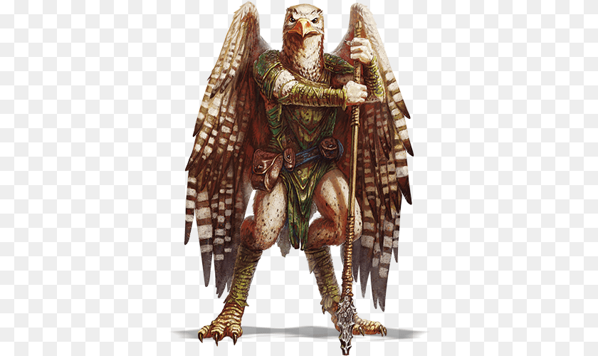 Grant Howitt Aarakocra Dnd 5e, Adult, Bride, Female, Person Transparent PNG