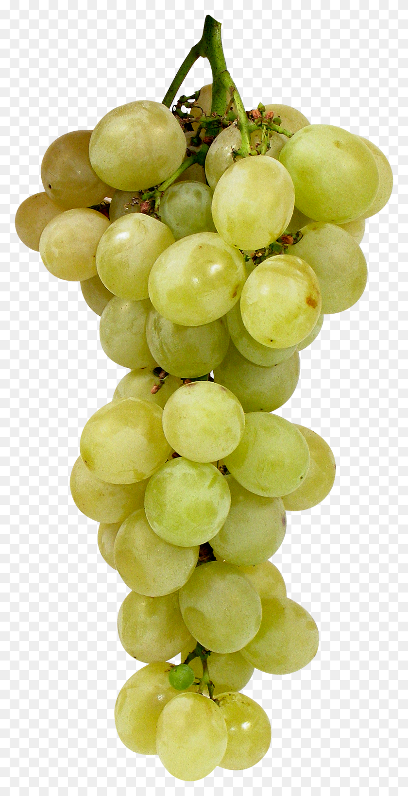 1352x2737 Grape, Plant, Grapes, Fruit HD PNG Download