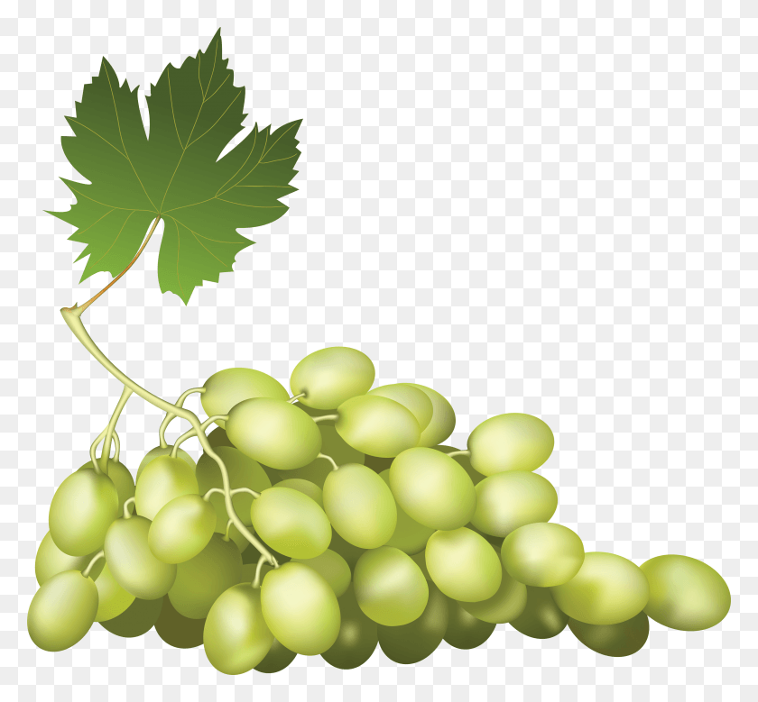 3634x3352 Grape, Plant, Grapes, Fruit HD PNG Download