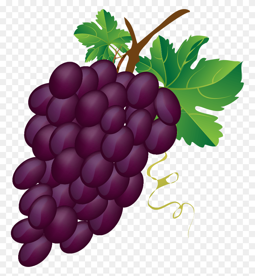 768x848 Grape Clip Art Bunch Of Grapes Clipart, Plant, Fruit, Food HD PNG Download