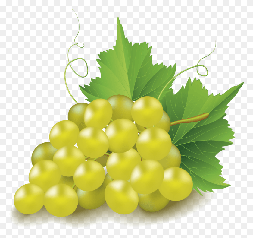 869x813 Grape Clip Art Chardonnay Grapes No Background, Fruit, Plant, Food HD PNG Download