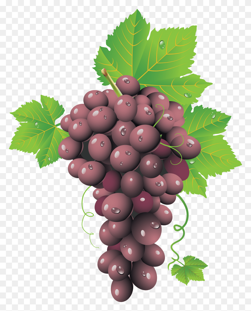 Кисть винограда на прозрачном фоне