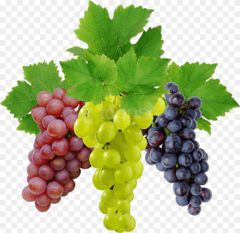 850x826 Grape Picture Grapes, Food, Fruit, Plant, Produce Transparent PNG