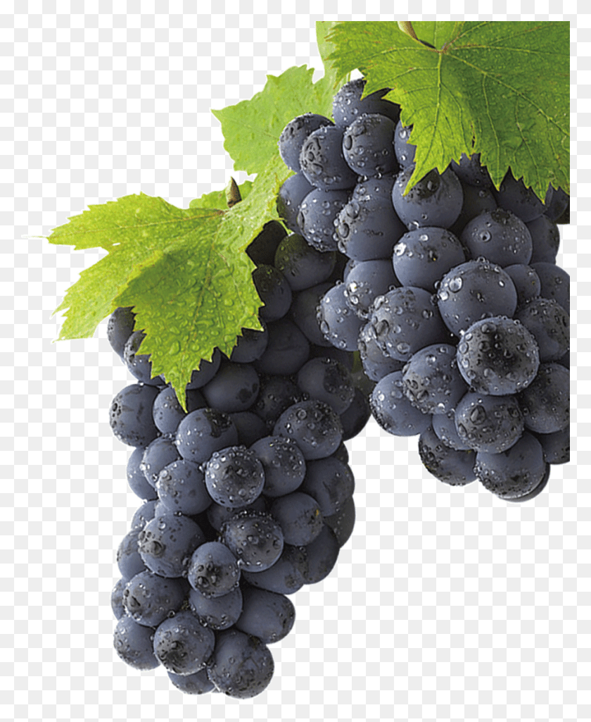 899x1113 Grape Image Amp Grape Clip Art Grape, Grapes, Fruit, Plant HD PNG Download