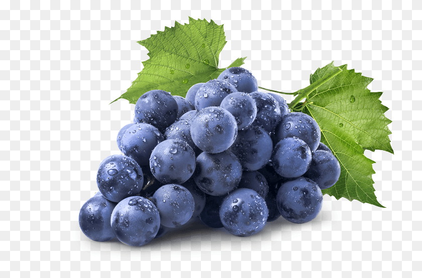 730x494 Grape Image Amp Grape Clip Art Imagens De Frutas Uva, Plant, Fruit, Food HD PNG Download