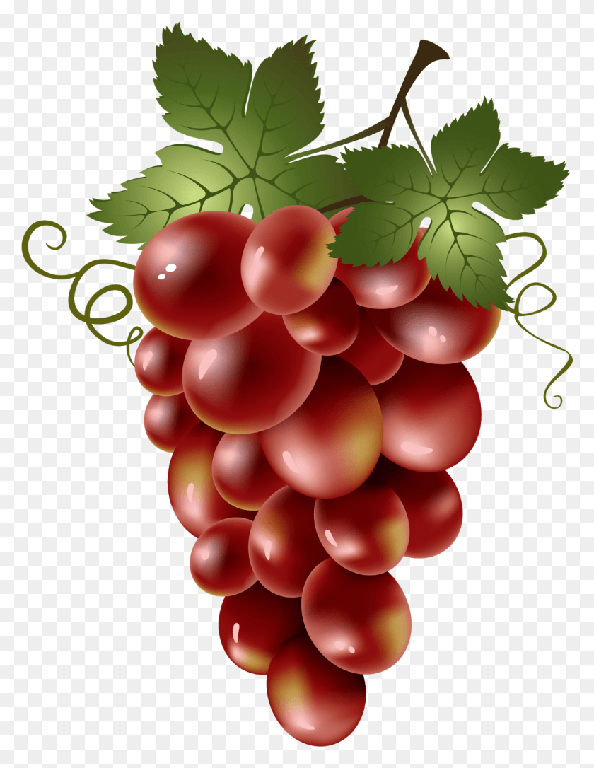 1206x1587 Grape Image Amp Grape Clip Art Transparent Grapes Red Clipart, Plant, Fruit, Food HD PNG Download