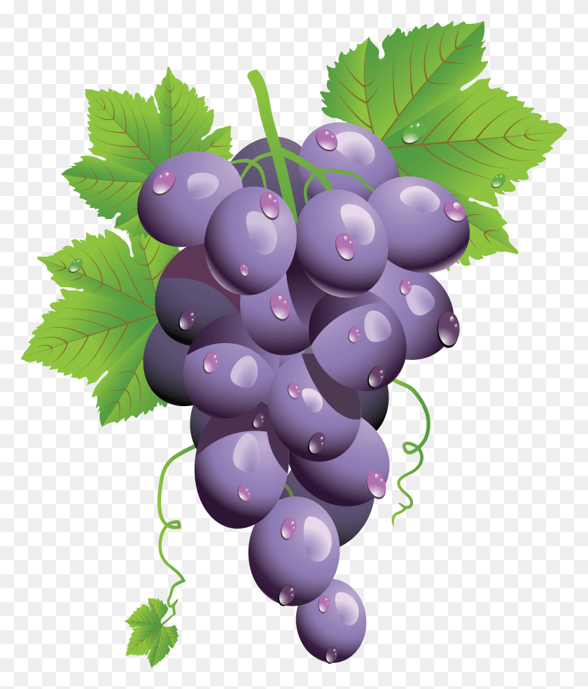 2976x3526 Grape Image Grapes, Plant, Fruit, Food HD PNG Download