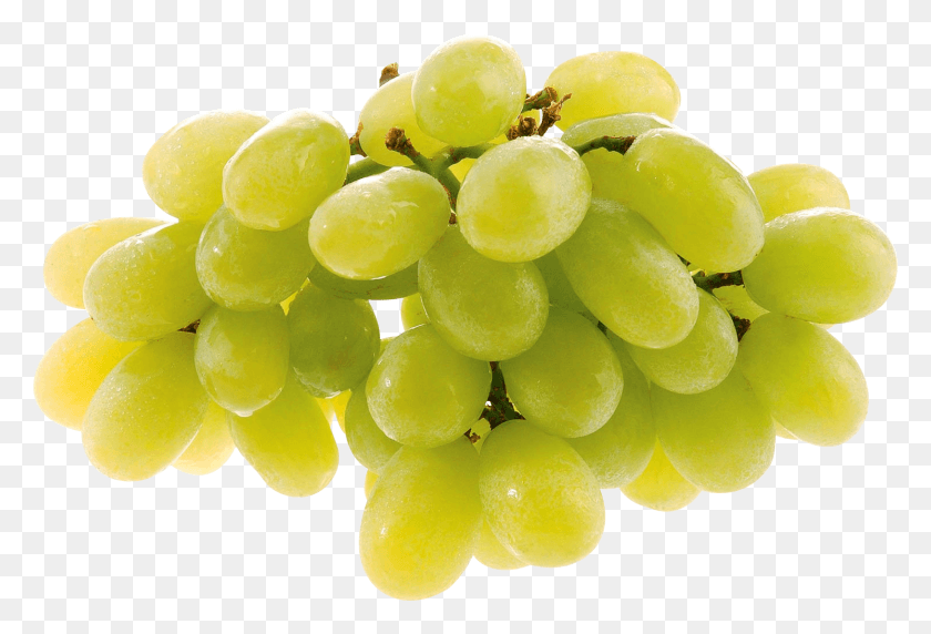 1493x981 Grape Image Green Grapes On White Background, Plant, Fruit, Food HD PNG Download