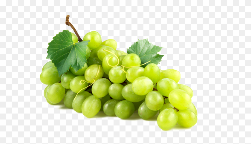 591x422 Grape Transparent Images Green Grapes, Plant, Fruit, Food HD PNG Download