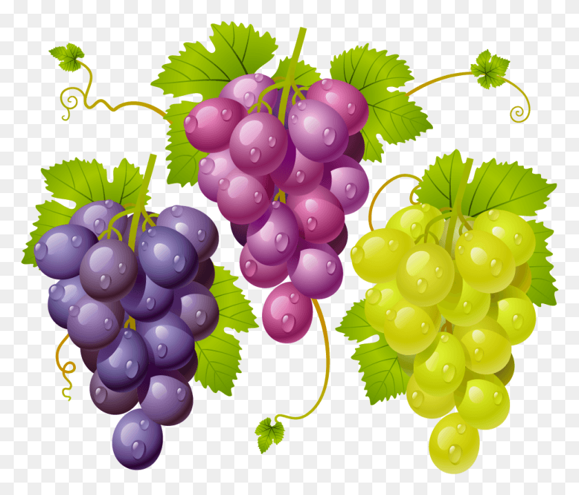 965x815 Grape Vector Seed Imagenes De Racimos De Uvas, Grapes, Fruit, Plant HD PNG Download