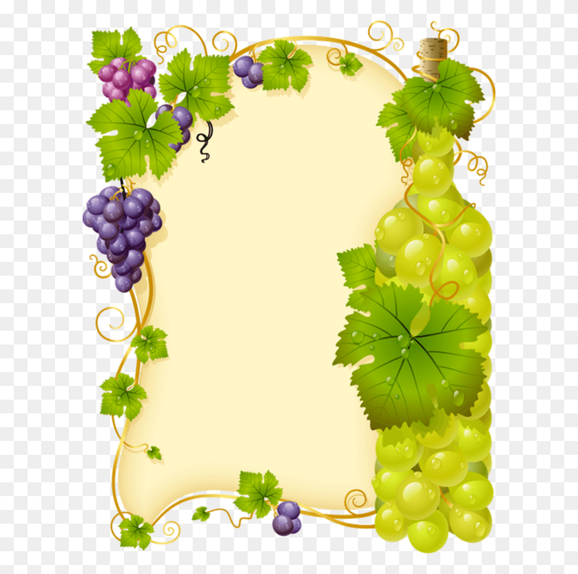 600x773 Grape Vine Frae Grape Vine Clipart, Plant, Grapes, Fruit HD PNG Download