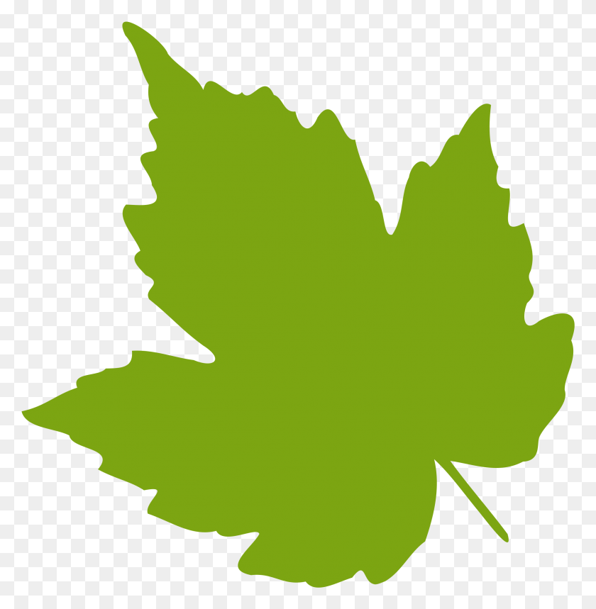 2284x2341 Grape Vine Leaves Clip Art Green Leaf Clip Art, Leaf, Plant, Maple Leaf HD PNG Download