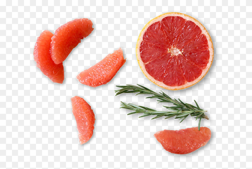 633x504 Grapefruit, Citrus Fruit, Fruit, Plant HD PNG Download