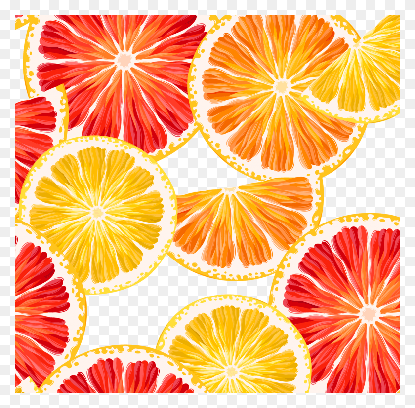 1496x1472 Grapefruit Lemon Clipart Orange Lemon Slice Vector Lemon And Grapefruit Background, Citrus Fruit, Fruit, Plant HD PNG Download