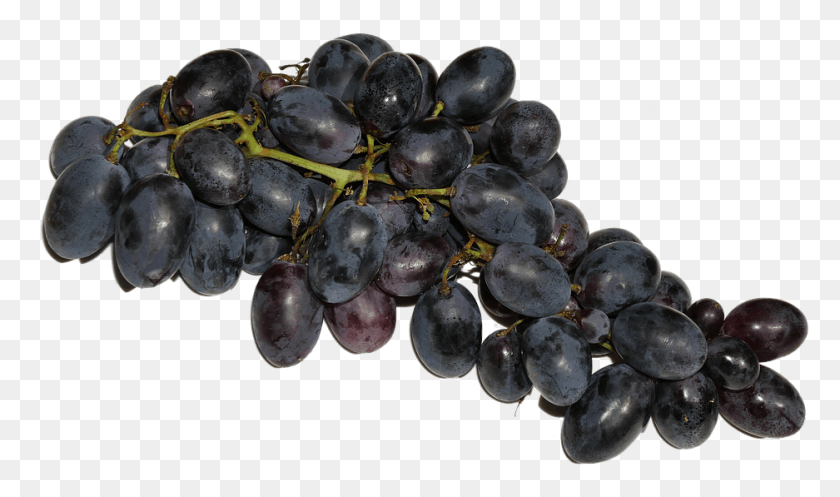 937x525 Grapes Blue Fruit Fruits Eat Food Delicious Grape Blue, Plant, Blueberry HD PNG Download
