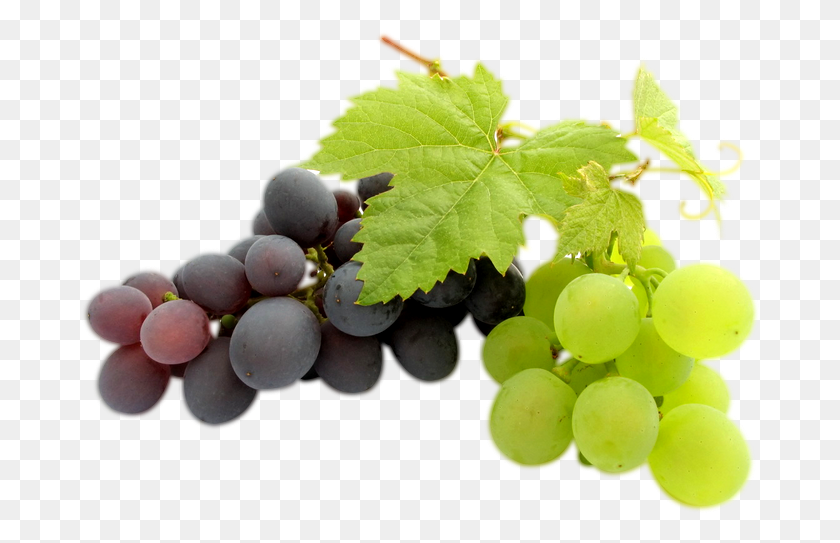 680x483 Grapes Bunch Image With Leaf Grapes, Plant, Fruit, Food HD PNG Download