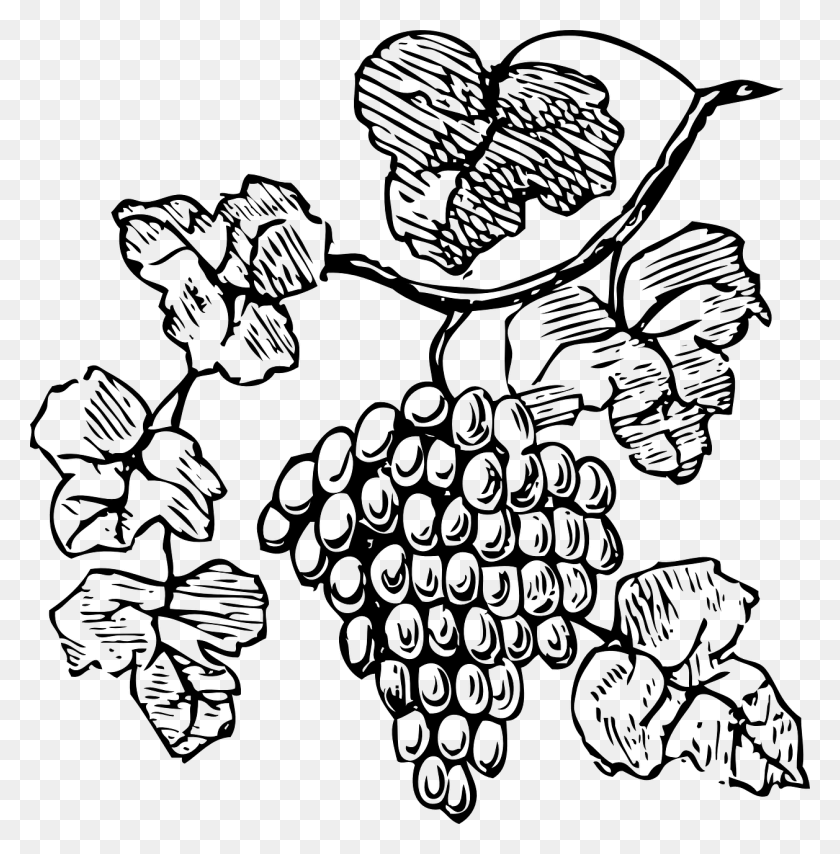 1257x1280 Grapes Clip Art At Clker Grapes Clipart, Gray, World Of Warcraft HD PNG Download
