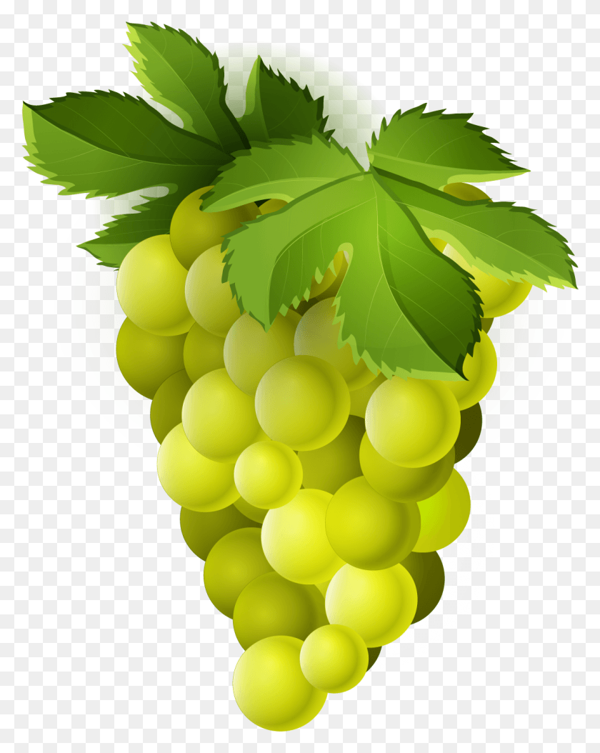 1101x1404 Grapes Clipart Common Fruit Green Grapes Clipart, Plant, Food, Balloon HD PNG Download