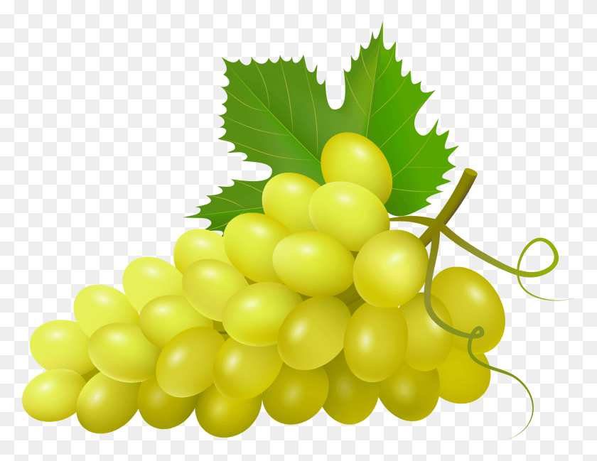 2560x1934 Grapes Clipart Health Food Group Of Grapes, Plant, Fruit, Balloon HD PNG Download