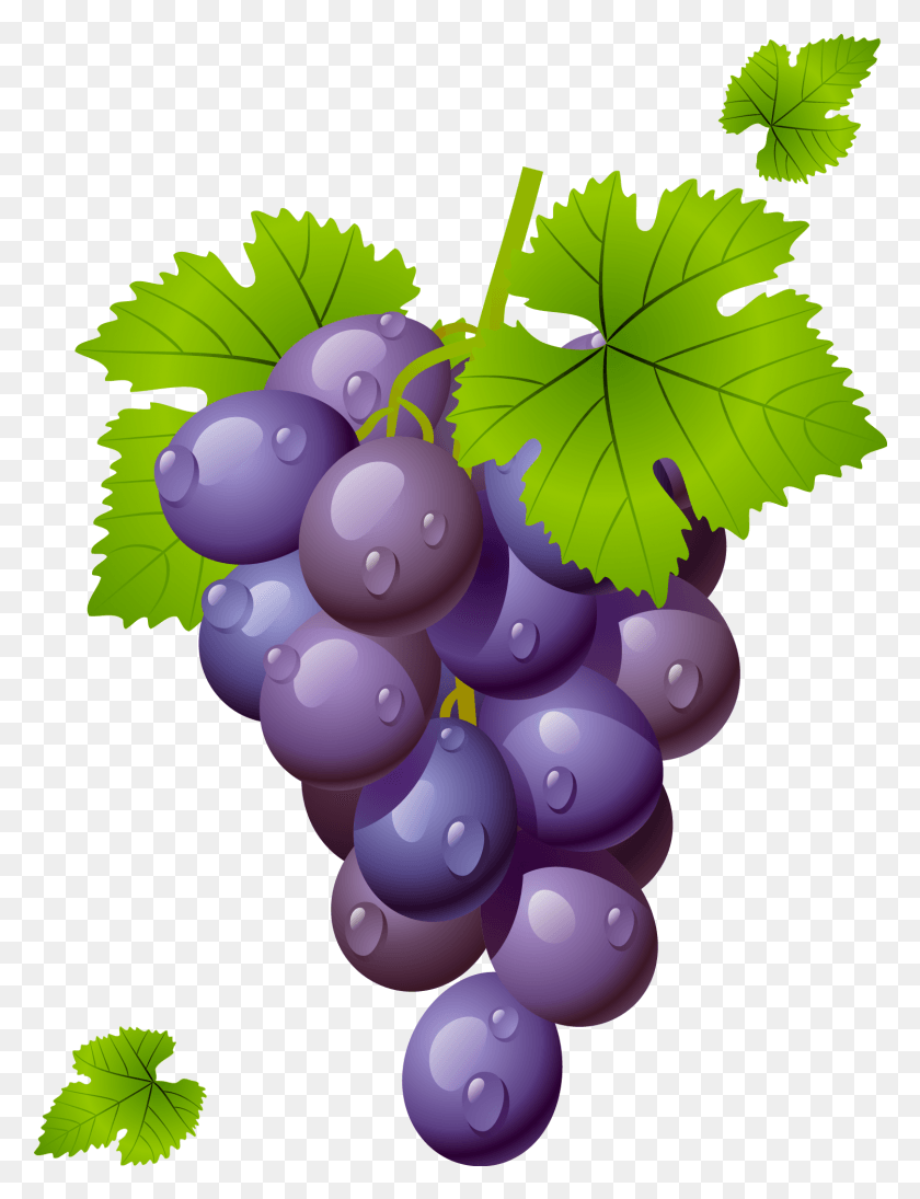 1501x1993 Grapes Clipart M 1434276911 Clipart Of Grapes Clipart, Plant, Fruit, Food HD PNG Download