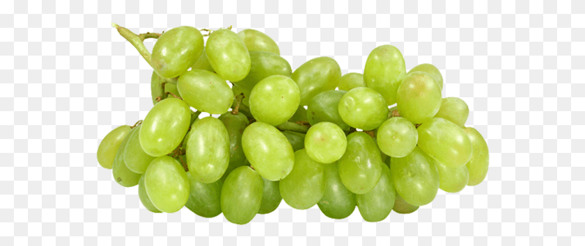 566x294 Grapes Food, Plant, Fruit, Vine HD PNG Download