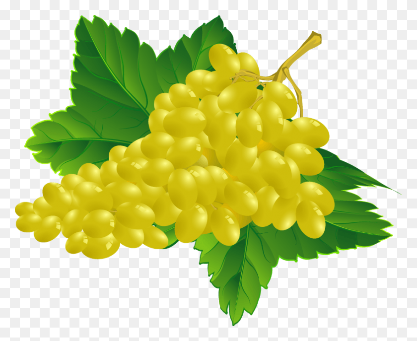 850x684 Grapes Fruits Transparent Images Clipart Icons Grape Vector, Fruit, Plant, Food HD PNG Download