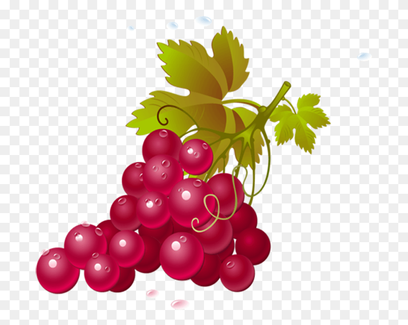 696x611 Grapes Fruits Transparent Images Clipart Icons Vin Minute, Fruit, Plant, Food HD PNG Download