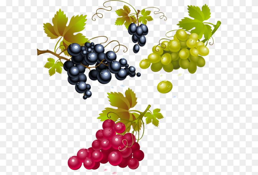 600x570 Grapes Grape, Food, Fruit, Plant, Produce Sticker PNG