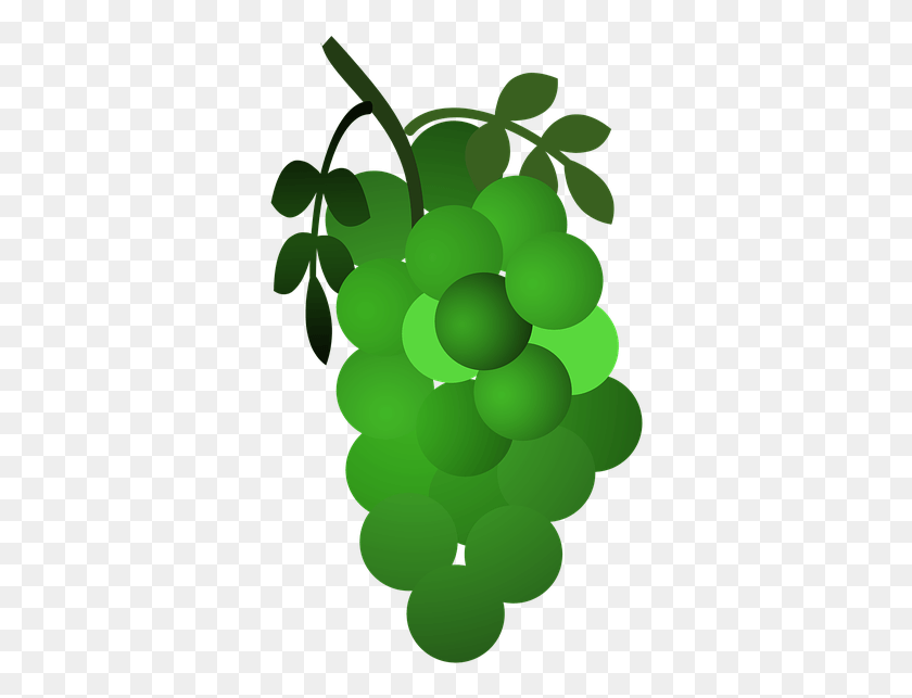 348x583 Grapes Grapes Icon Icon Pineapple Bananas Green Seedless Fruit, Plant, Food, Balloon HD PNG Download