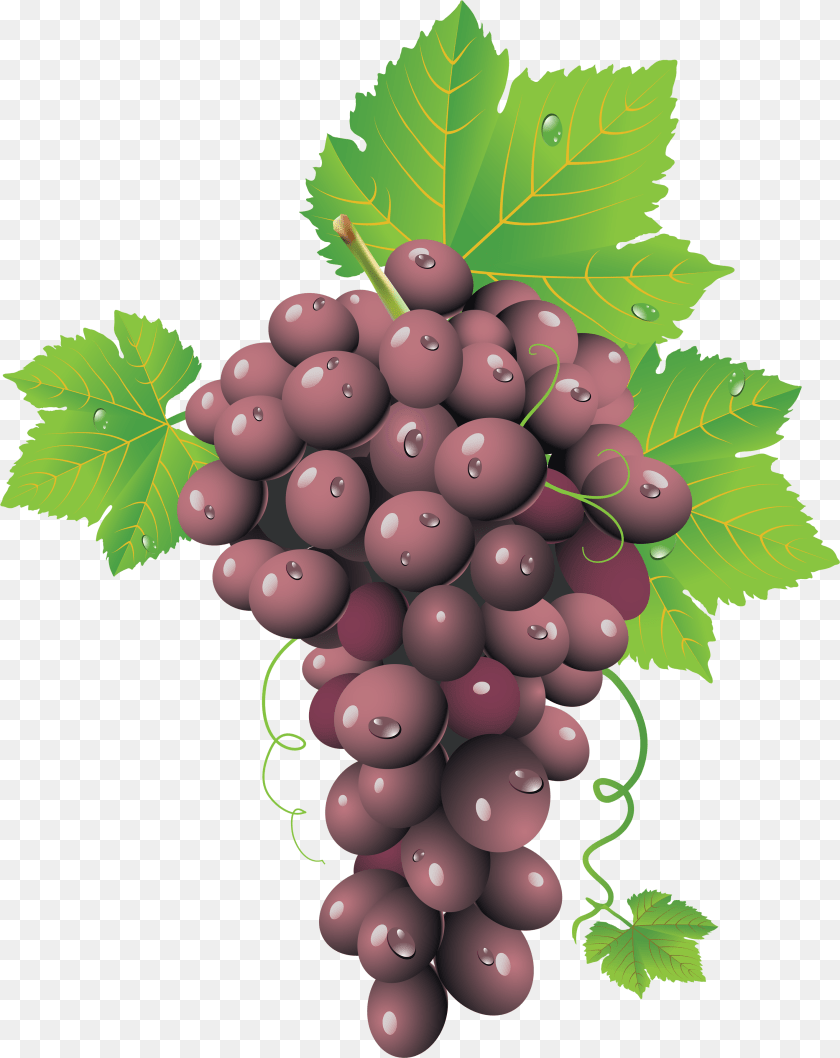 Grapes Image Grape Seed, Food, Fruit, Plant, Produce Transparent PNG