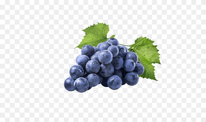 800x450 Grapes Images Bangalore Blue Grape, Plant, Fruit, Food HD PNG Download