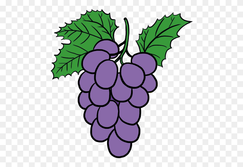 493x516 Grapeseedstudios On Scratch Grapes Gif, Plant, Fruit, Food HD PNG Download