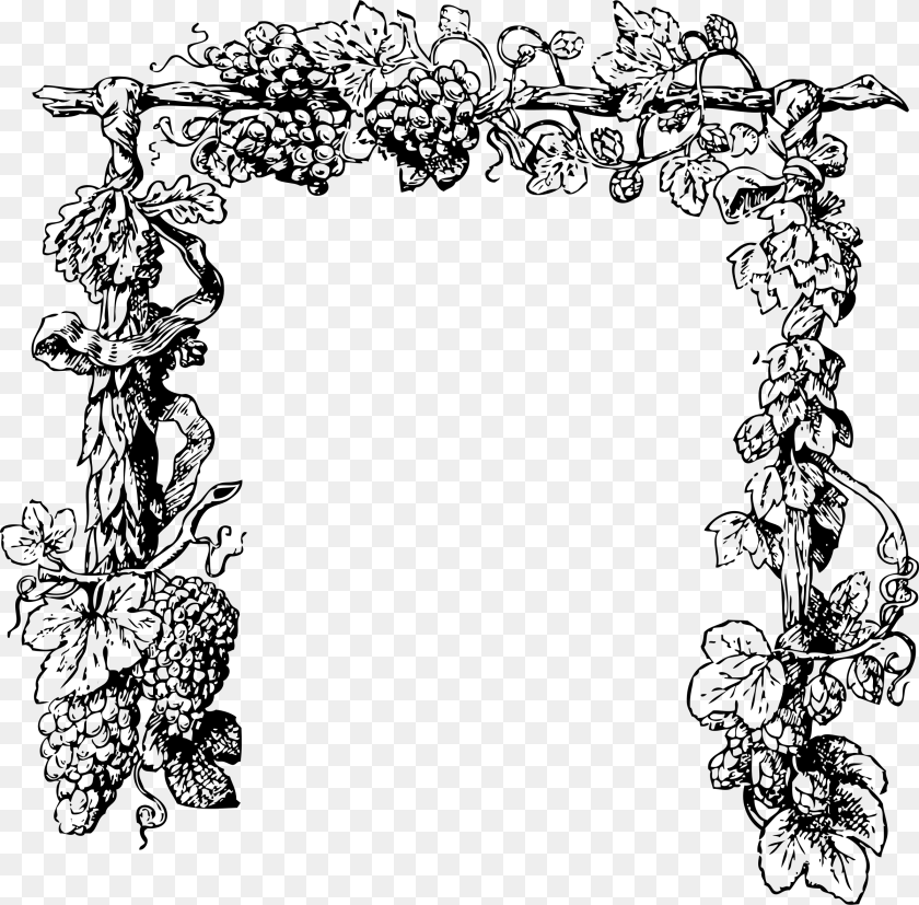 2400x2362 Grapevine Frame, Green, Art, Floral Design, Graphics Sticker PNG