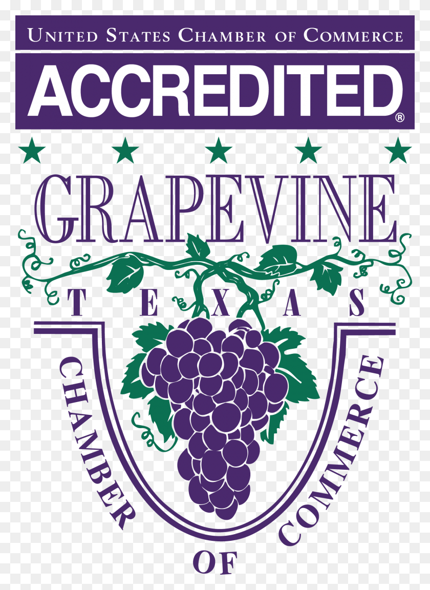 1500x2100 Grapevine Grapevine Chamber Logo, Plant, Grapes, Fruit HD PNG Download