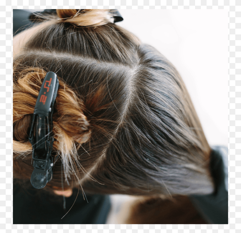 753x753 Graphic 2 Girl, Hair, Person, Human HD PNG Download