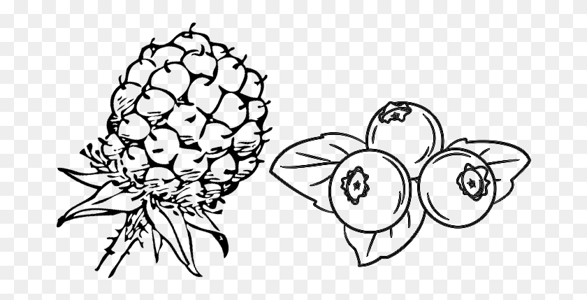 681x369 Graphic Black And White Blueberries Drawing Blackberry Clip Art, Face, Graphics HD PNG Download